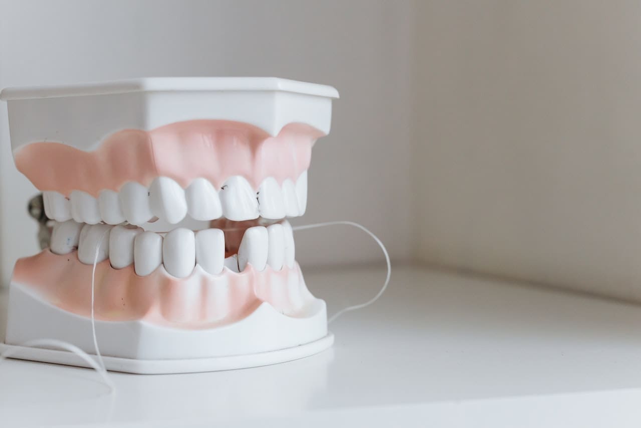 Dental model with dental floss